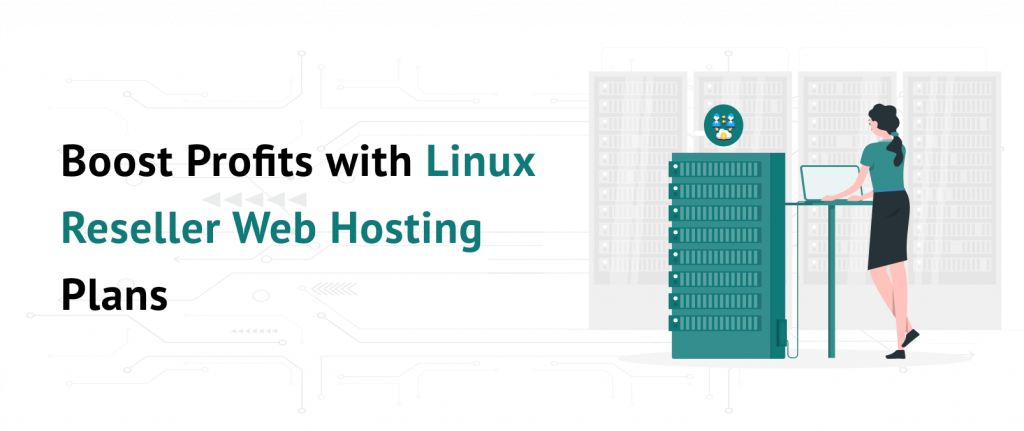 Boost Profits with Linux Reseller Web Hosting Plans