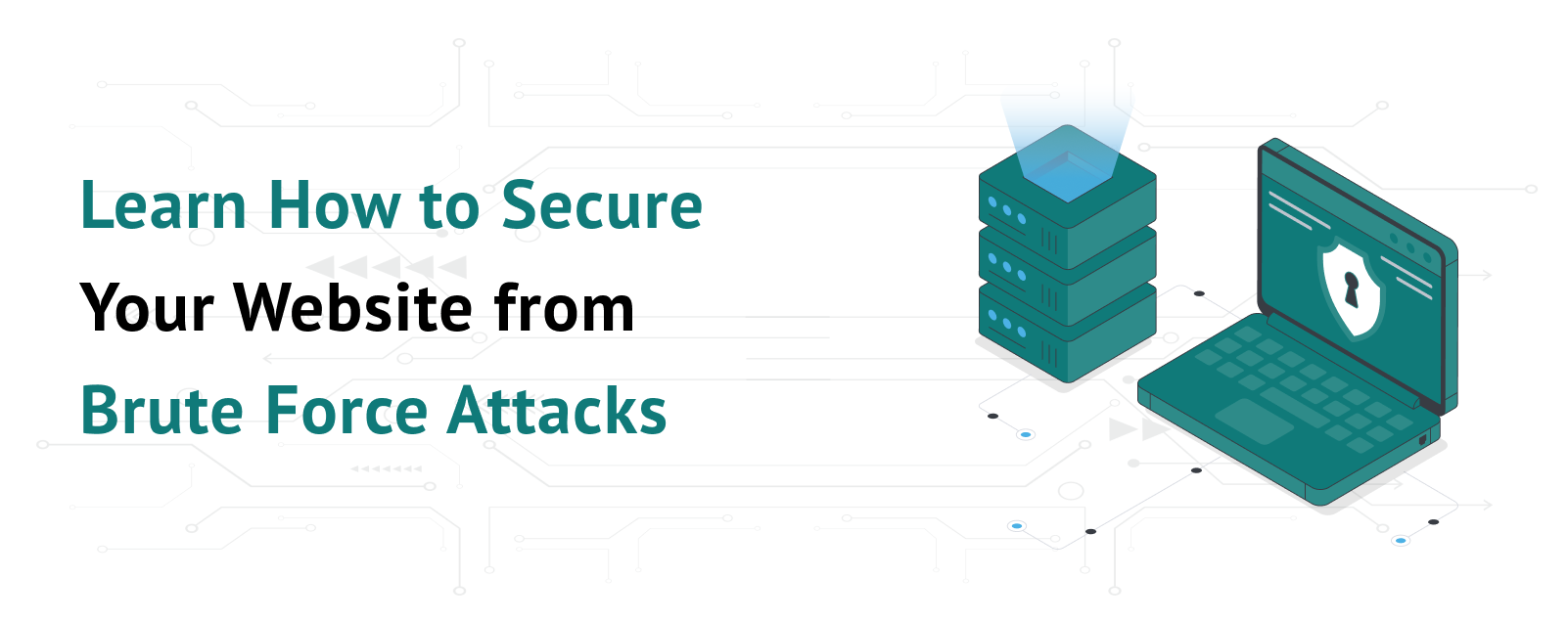 Learn How to Secure Your Website from Brute Force Attacks